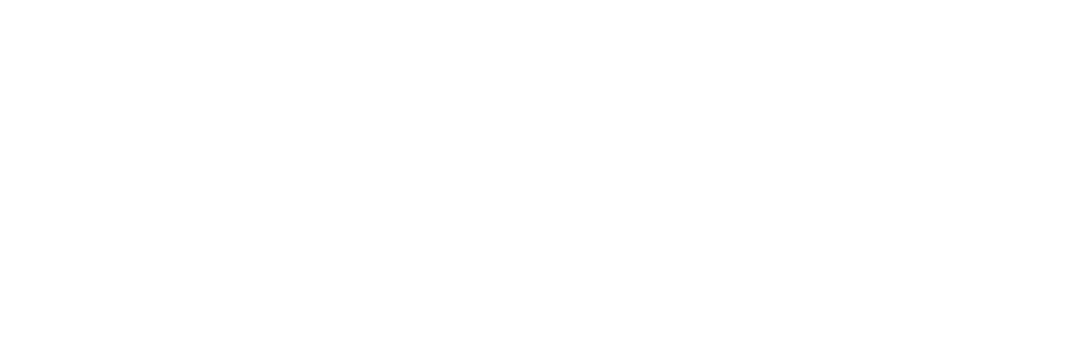 ntn-logo-branca-iray.png