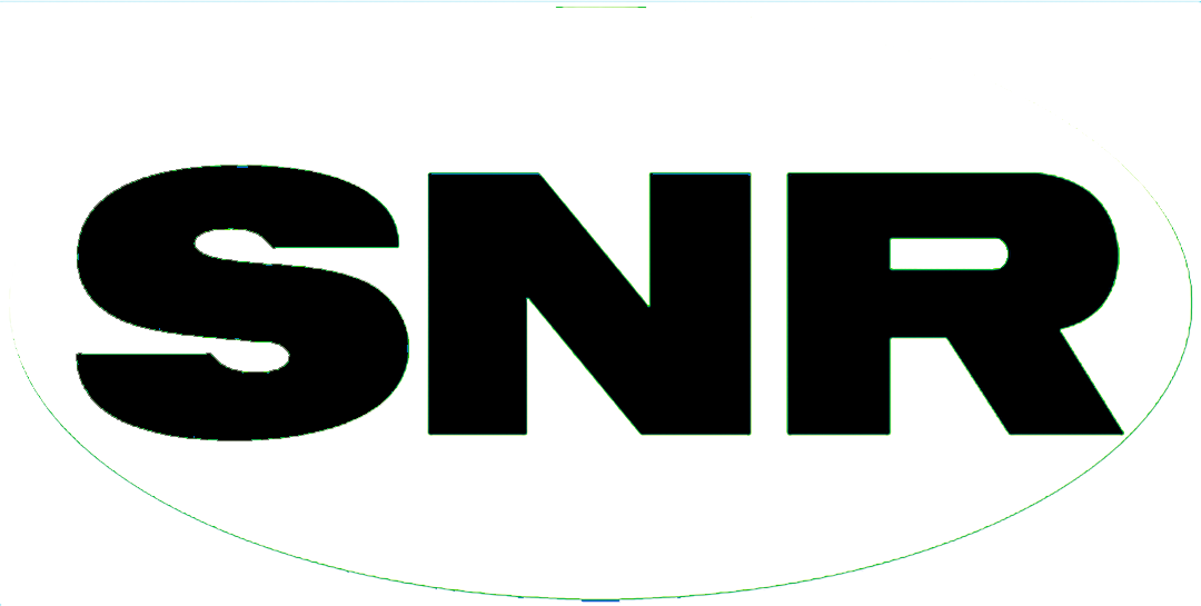 snr-logo-branca-iray.png
